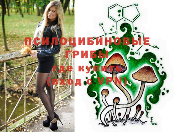 первитин Арсеньев