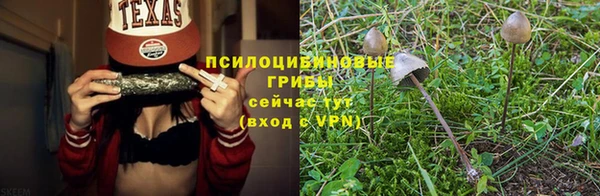 спиды Алзамай