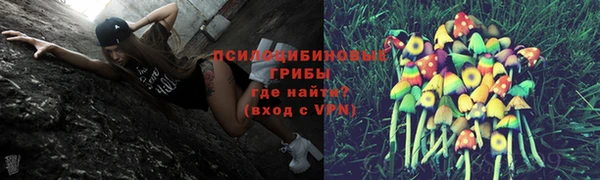винт Армянск