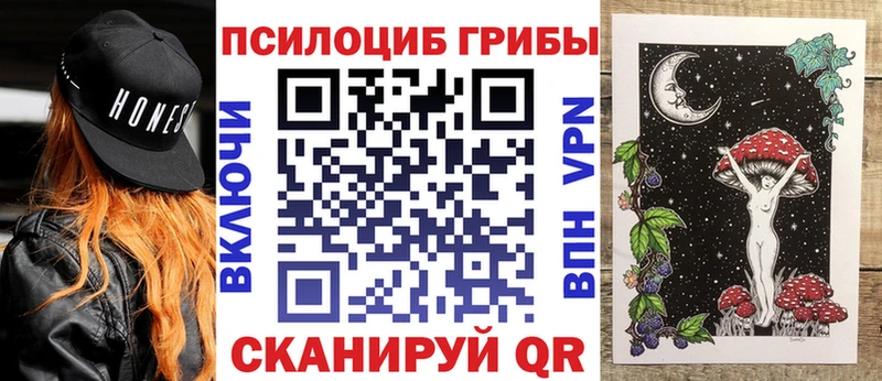 Галлюциногенные грибы Psilocybe  Зверево 