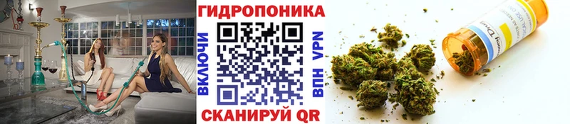 shop Telegram Зверево Шишки марихуана OG Kush как найти закладки